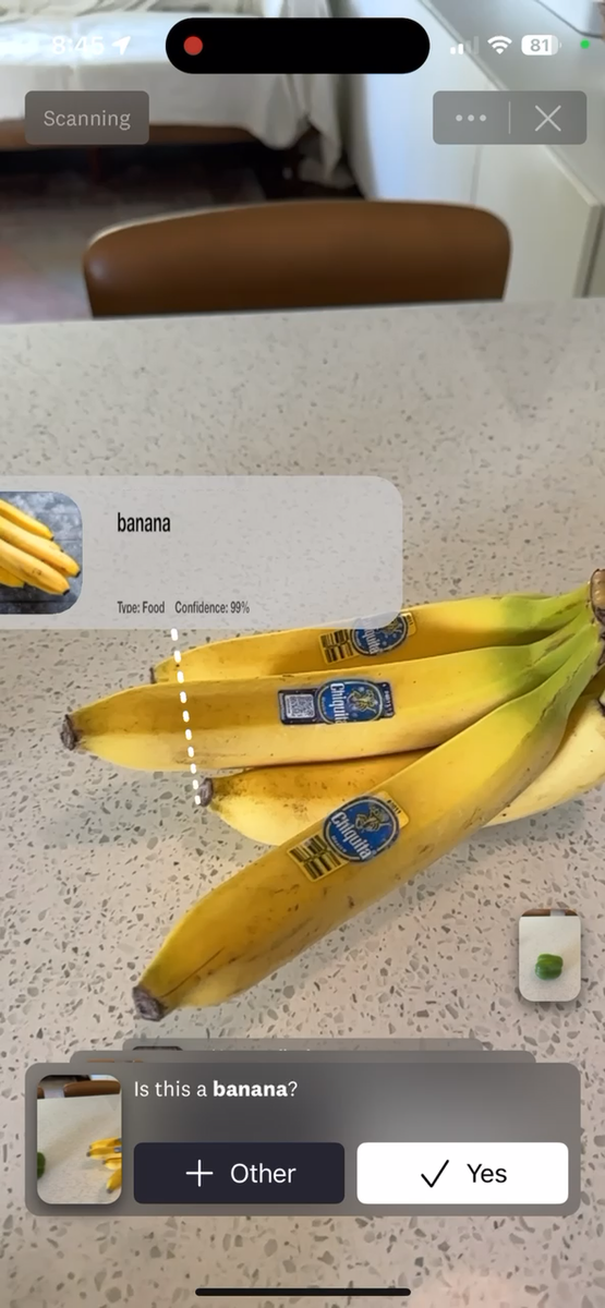 Image-assisted food tracking identifying bananas through a phone camera